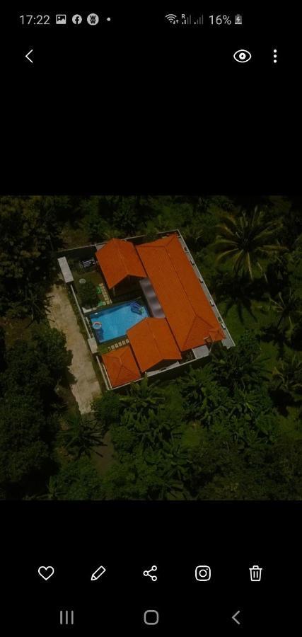 Hotel Mias Jungle House Lovina Exteriér fotografie