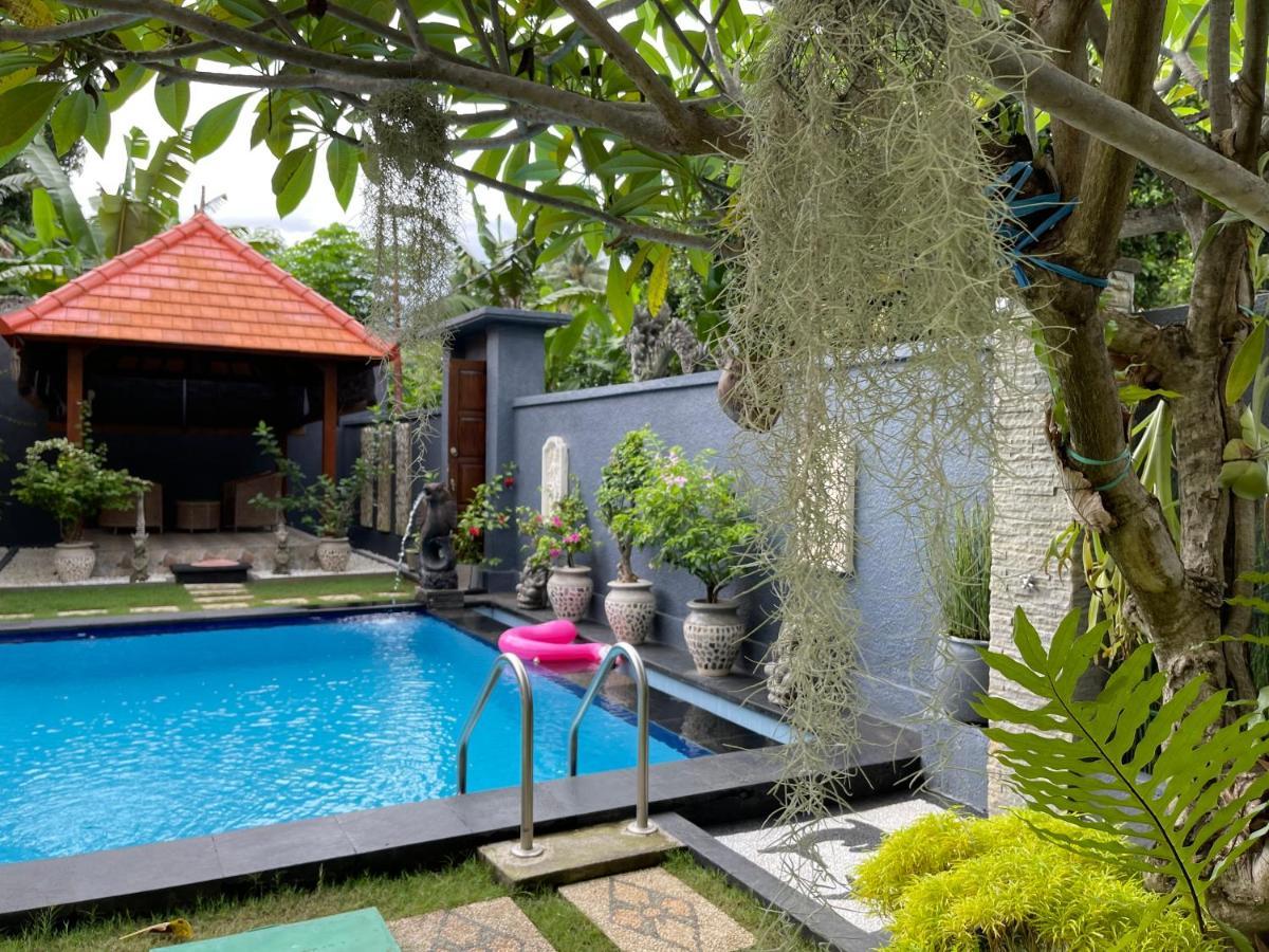 Hotel Mias Jungle House Lovina Exteriér fotografie